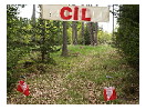 thumbnail46