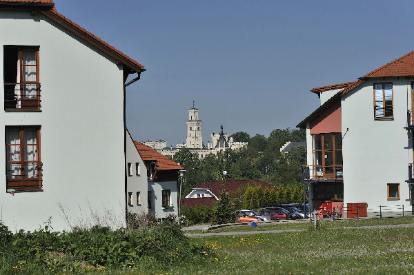 image8