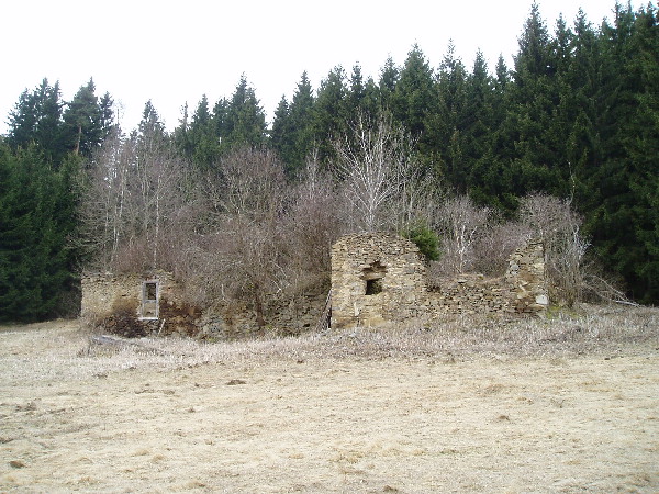 image8