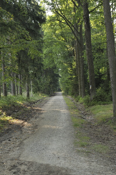 image8